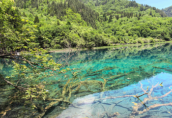 九寨沟风景区第 169 张图片