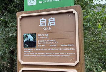 成都大熊猫繁育研究基地第 427 张图片