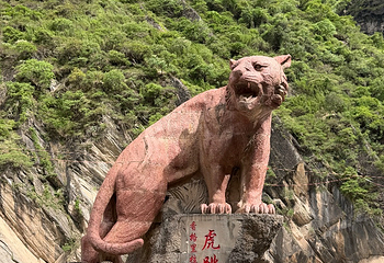 虎跳峡(香格里拉段)第 31 张图片