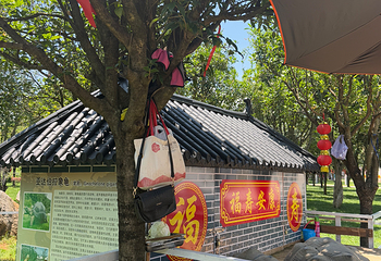 锦屏山风景区第 103 张图片