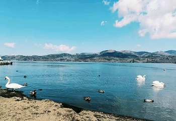山中湖第 17 张图片