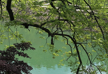马岭古道第 36 张图片