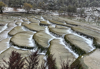 玉龙雪山第 241 张图片