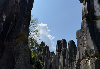 石林风景区第 271 张图片