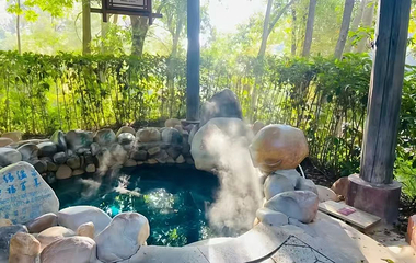 宁乡灰汤紫龙湾温泉度假区第 17 张图片