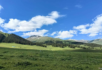 那拉提旅游风景区第 71 张图片
