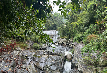 五指山水满河热带雨林风景区第 14 张图片