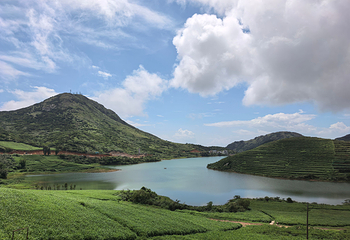 大嵛山岛第 17 张图片
