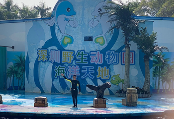 深圳野生动物园第 77 张图片