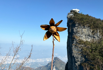 天门山国家森林公园第 360 张图片