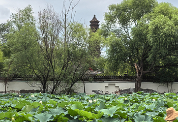 铁塔景区第 98 张图片