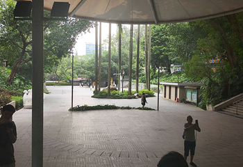 越秀公园第 330 张图片