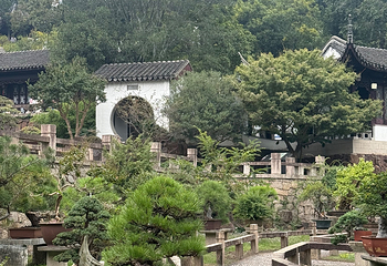 虎丘山风景名胜区第 238 张图片