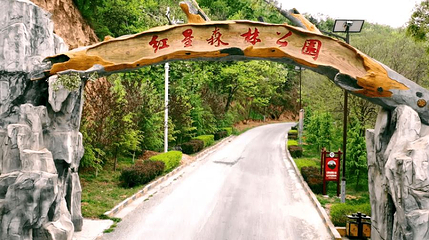 长武县红星森林公园景区第 1 张图片