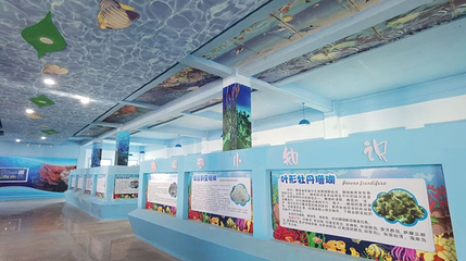 徐闻珊瑚展览馆第 1 张图片