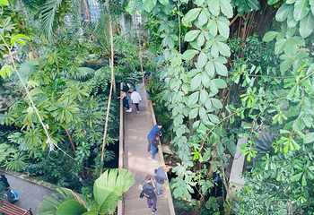 美国国家植物园第 28 张图片