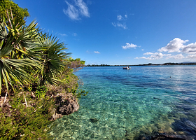Ile aux Aigrettes Nature Reserve