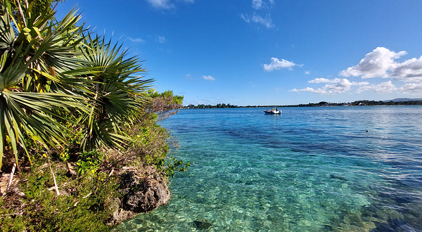 Ile aux Aigrettes Nature Reserve