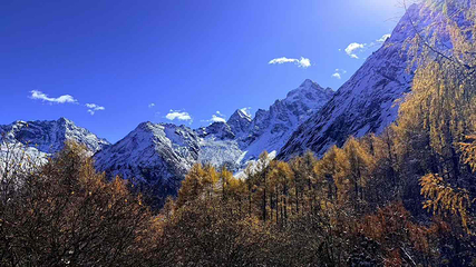 四姑娘山景区第 43 张图片