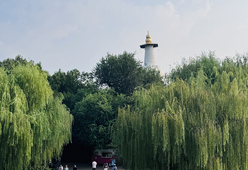 瘦西湖第 268 张图片