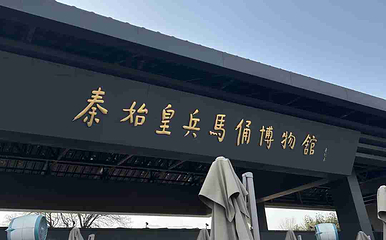 秦始皇帝陵博物院(兵马俑)第 600 张图片