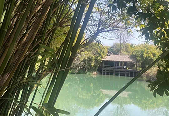 西溪国家湿地公园第 222 张图片