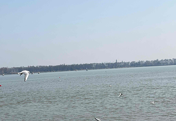 东湖生态旅游风景区第 32 张图片