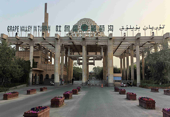 葡萄沟第 67 张图片