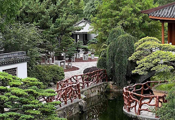 上海植物园第 15 张图片