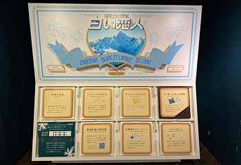 白色恋人公园第 29 张图片