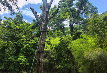 九子岩景区第 49 张图片