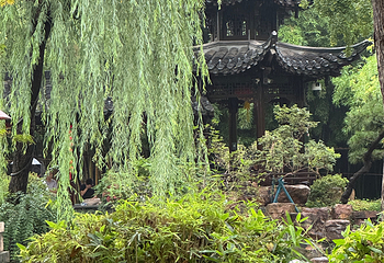个园第 196 张图片