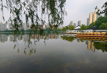 莫愁湖公园第 40 张图片