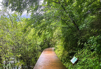 九寨沟风景区第 524 张图片