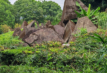三峡大坝旅游区第 197 张图片