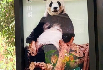 成都动物园第 86 张图片