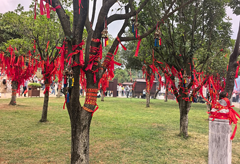 锦屏山风景区第 139 张图片