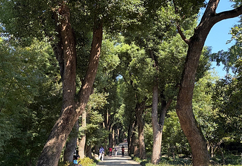 虎丘山风景名胜区第 308 张图片