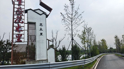花木里景区第 1 张图片