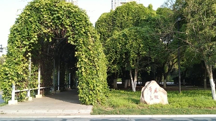 藤树牵花第 1 张图片