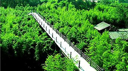 宝锭山风景区-竹博园第 1 张图片