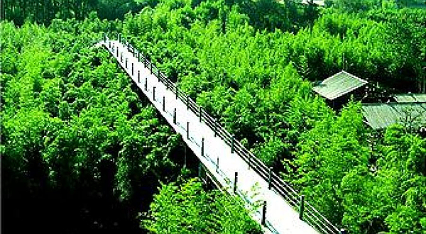宝锭山风景区-竹博园