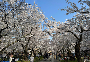 黑川城第 18 张图片