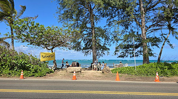 Punalu'u Beach Park