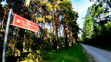 Listvennichnaya Alleya