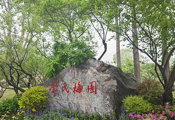 梅园第 206 张图片