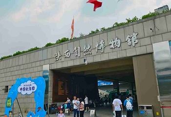 陕西自然博物馆第 33 张图片