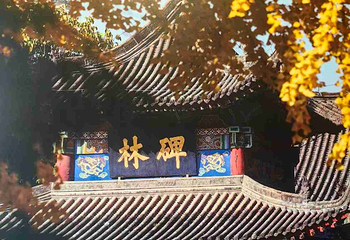 西安碑林博物馆第 204 张图片