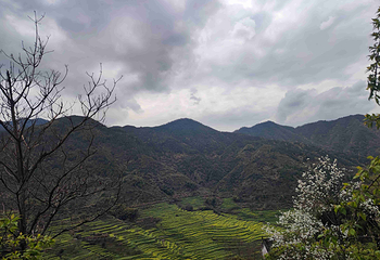 婺源篁岭景区第 314 张图片
