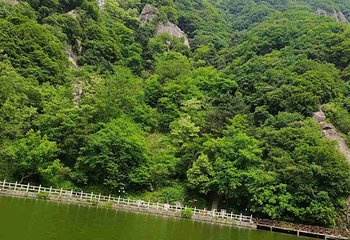 翠华山·秦岭终南山世界地质公园第 88 张图片